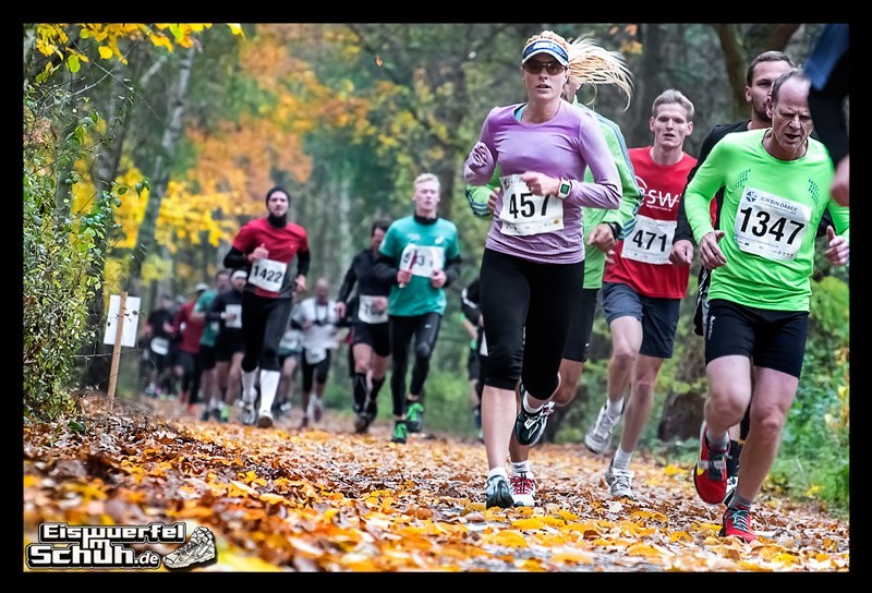 Teltow Halbmarathon: wunderbarer Herbstlauf ohne Titel dafür mit Bestzeit