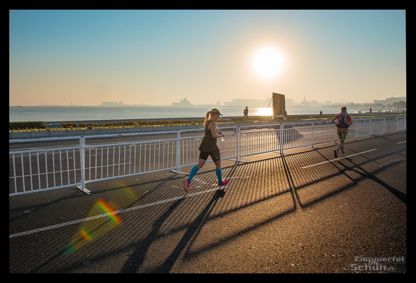 Doha Marathon: Mein Halbmarathon