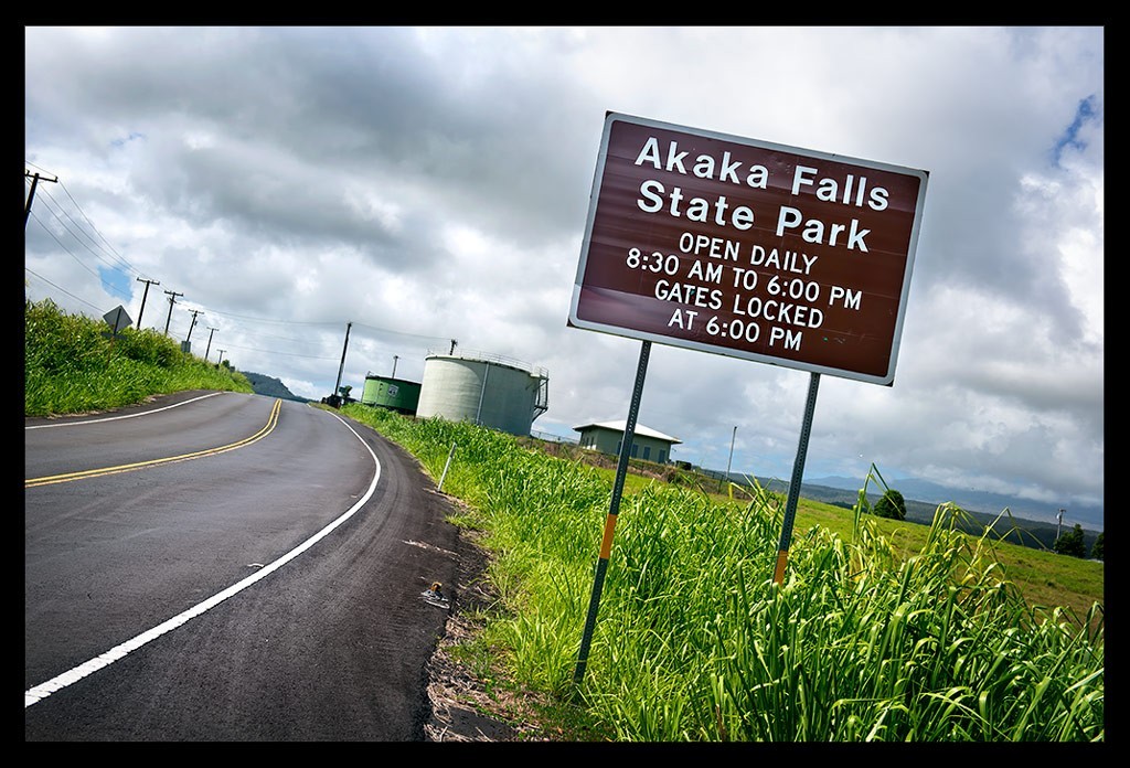Hawaii - Big Island: Regenwald & ‘Akaka Falls' (Reisebericht)