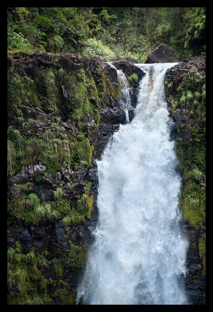 Reisebericht Hawaii Akaka Falls State Park Wasserfall