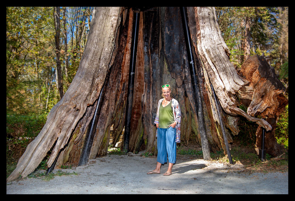 Hollow Tree - Hohler Riesenbaum im Stanley Park, Vancouver, British Columbia, Kanada