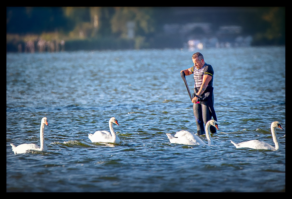 BerlinWoMen-Triathlon-Rennbericht-EISWUERFELIMSCHUH-(131)